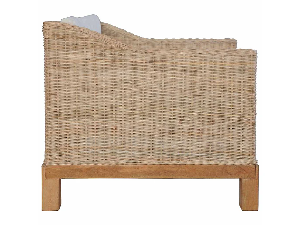 Fauteuil avec coussins Rotin naturel