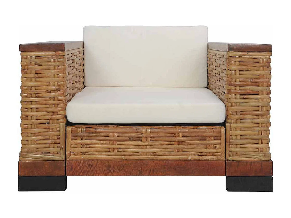 Fauteuil met kussens natuurlijk rattan bruin