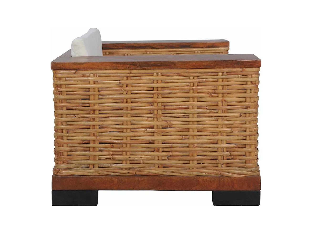 Fauteuil met kussens natuurlijk rattan bruin