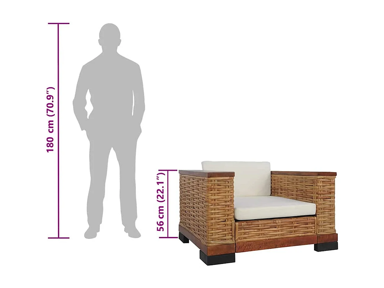 Fauteuil met kussens natuurlijk rattan bruin