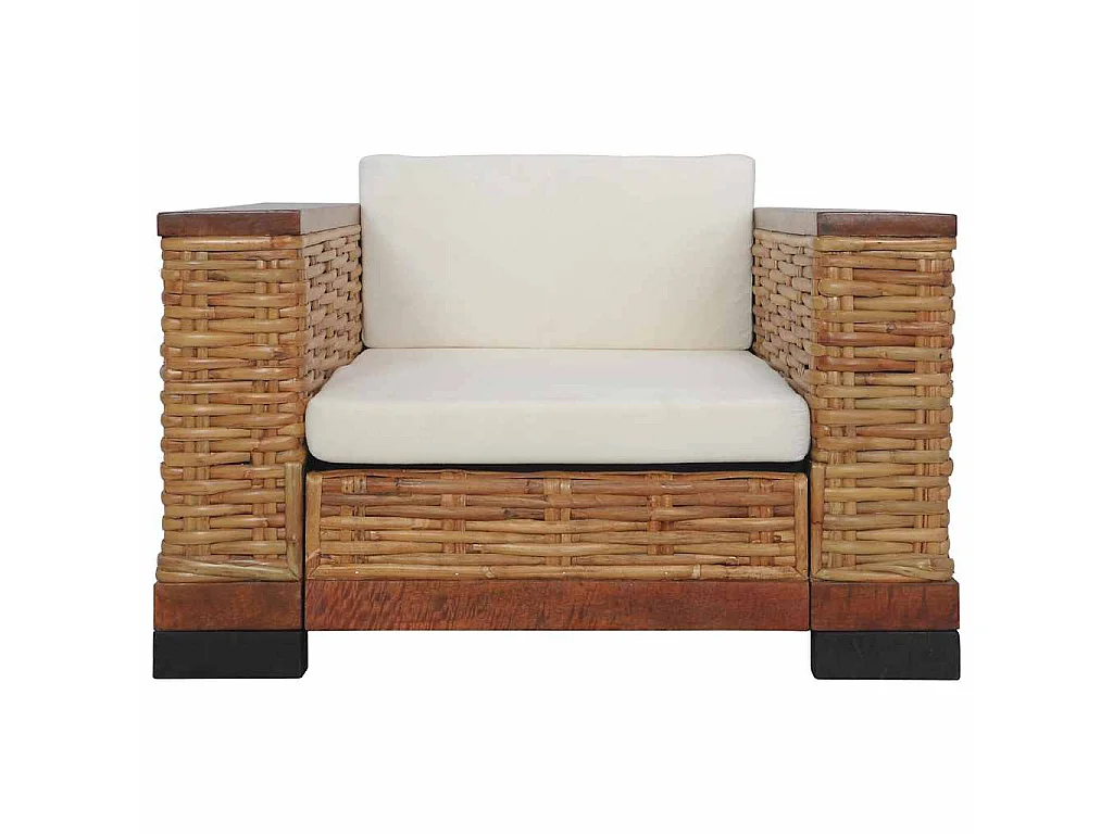 Fauteuil avec coussins Marron Rotin naturel