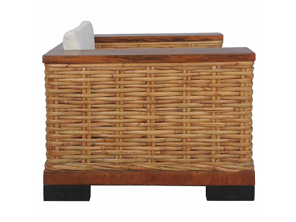 Fauteuil avec coussins Marron Rotin naturel