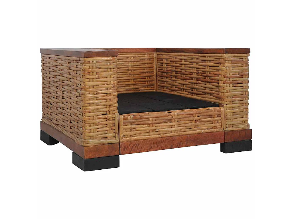 Fauteuil avec coussins Marron Rotin naturel