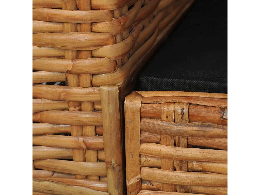 Fauteuil avec coussins Marron Rotin naturel