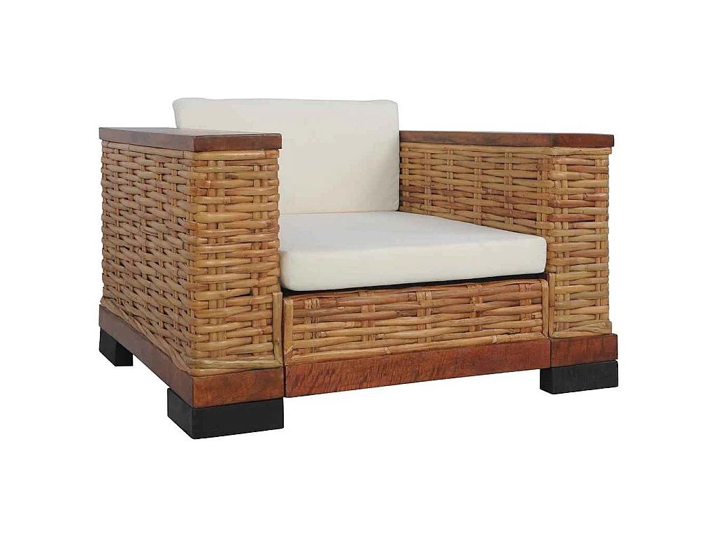 Fauteuil met kussens natuurlijk rattan bruin