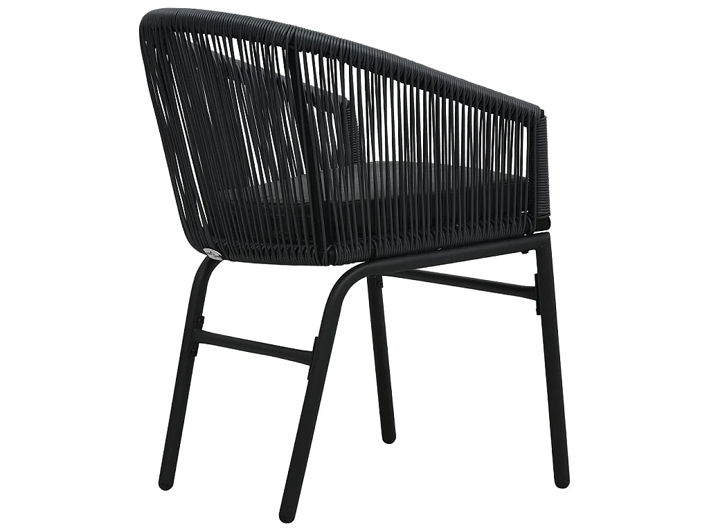 Chaises de jardin lot de 2 Noir Rotin PE