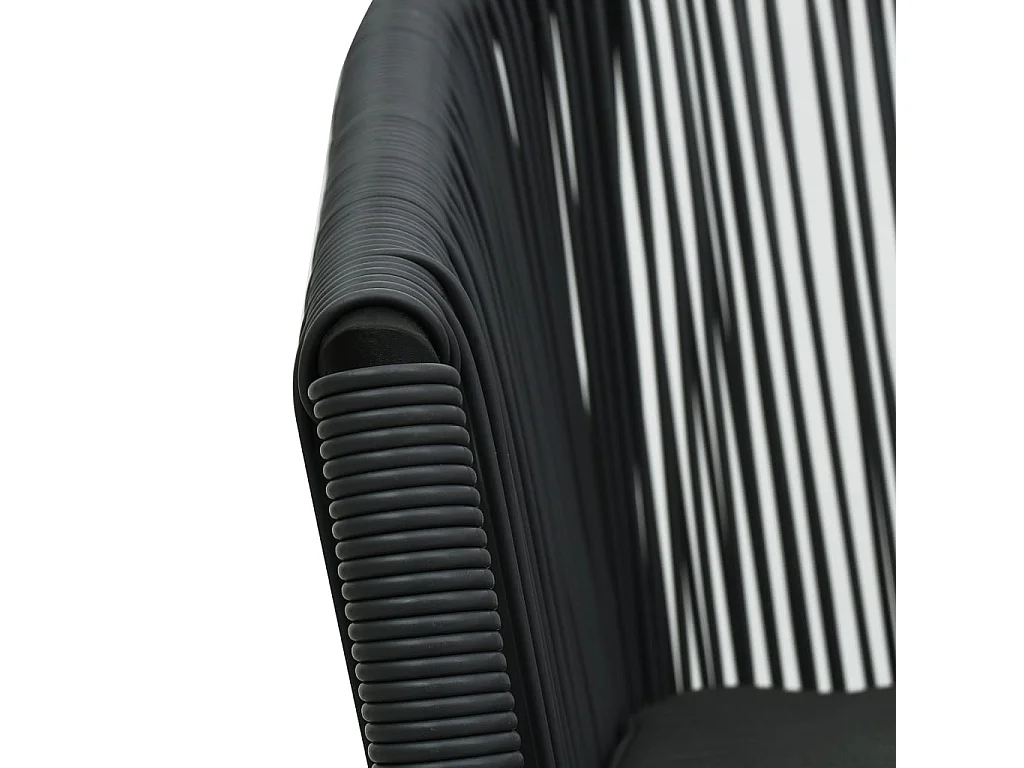 Chaises de jardin lot de 2 Noir Rotin PE