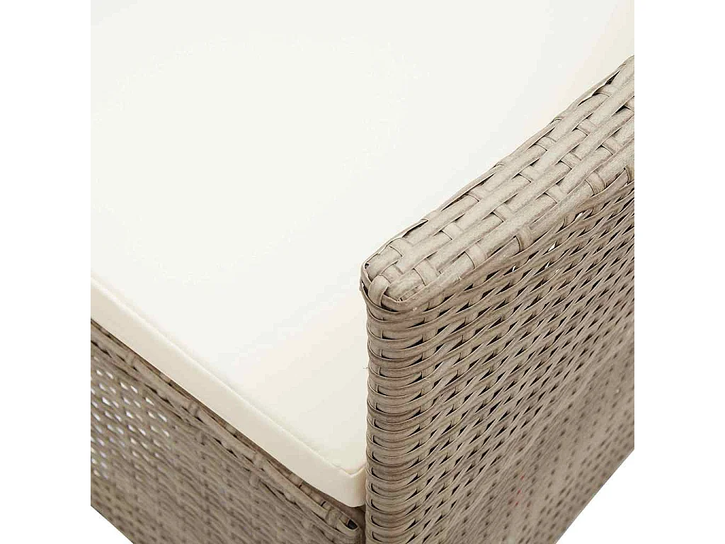 Chaises d'extérieur lot de 2 avec coussins Résine tressée Beige