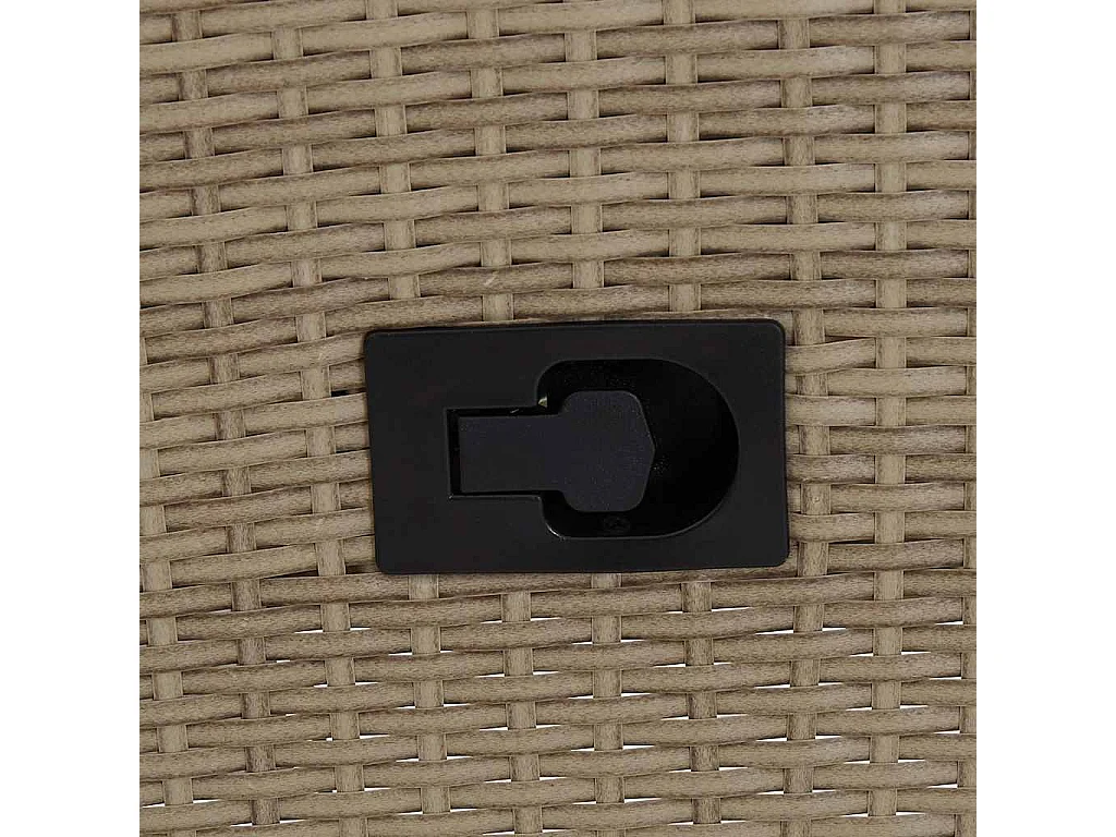 Chaises d'extérieur lot de 2 avec coussins Résine tressée Beige