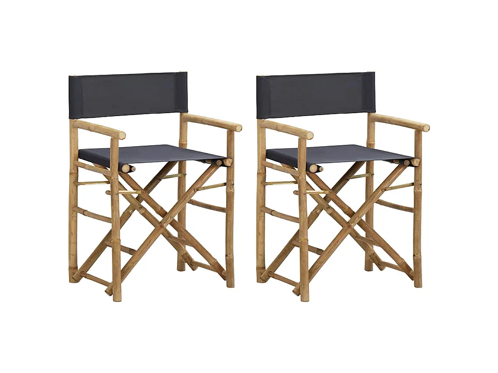 Chaises pliables de directeur lot de 2 Gris foncé Bambou tissu