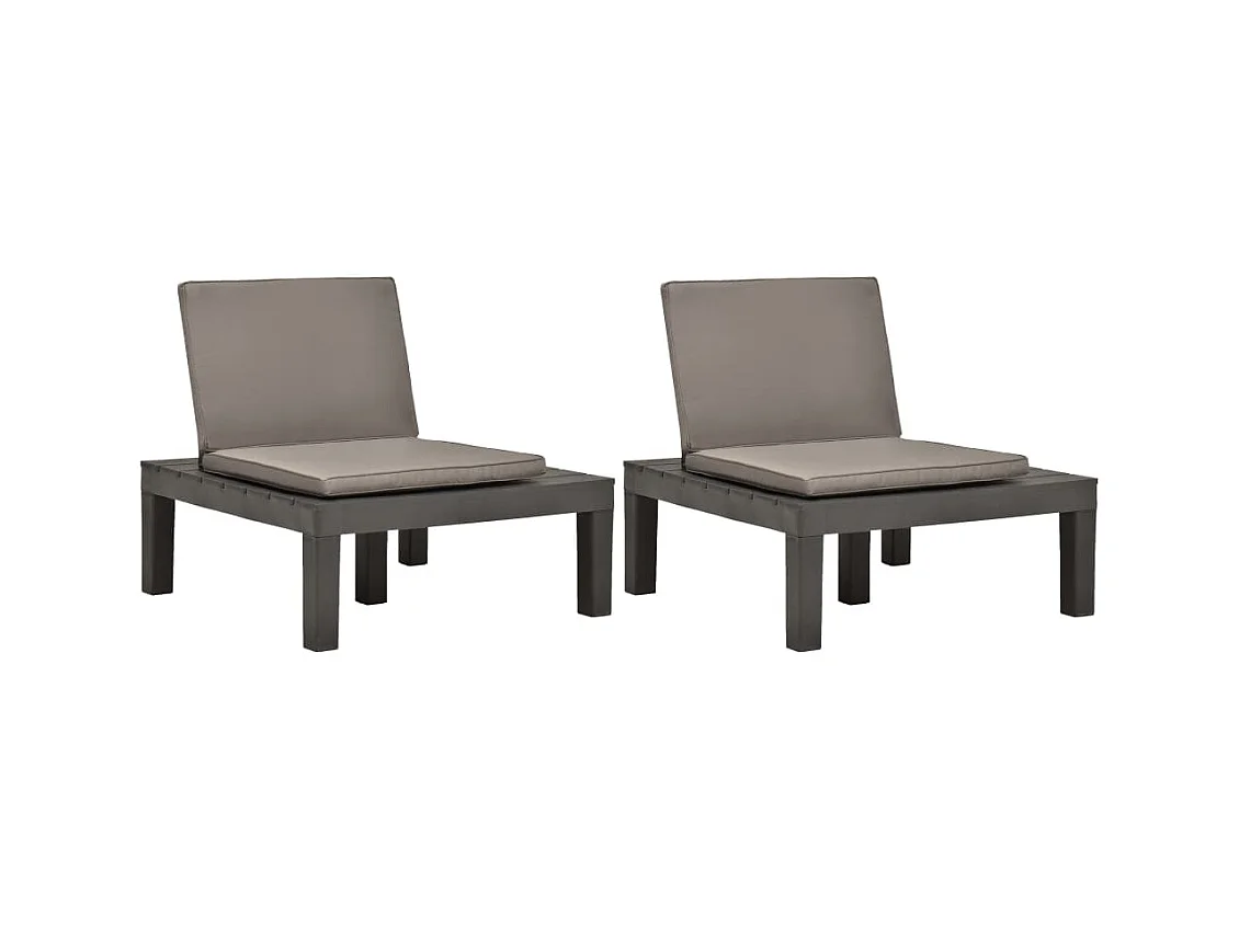 Chaises de salon de jardin et coussins 2pc Plastique Anthracite