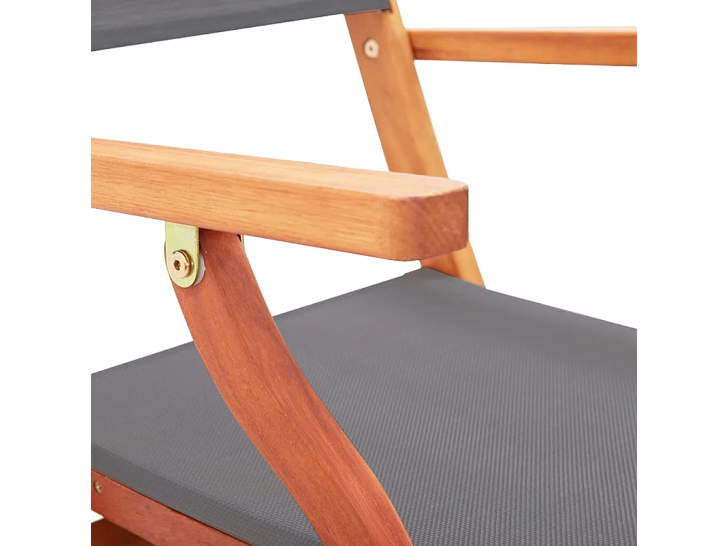 Chaises pliables de jardin lot de 2 Gris Eucalyptus textilène