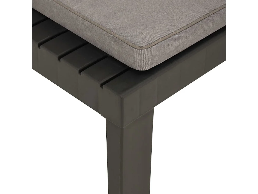 Chaises de salon de jardin et coussins lot de 2 Plastique Gris