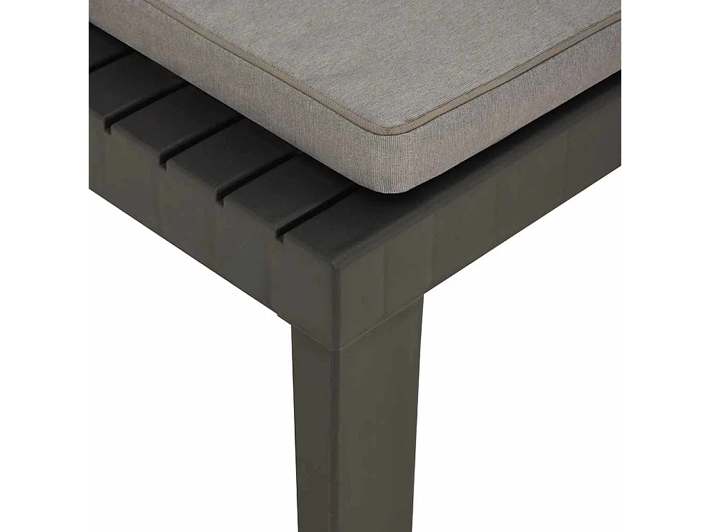 Gartenstühle mit Auflagen 2 Stk. Kunststoff Grau