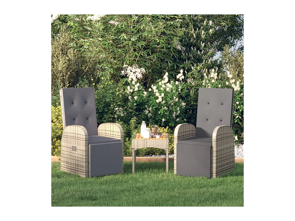 Chaises de jardin inclinables coussins lot de 2 Résine tressée