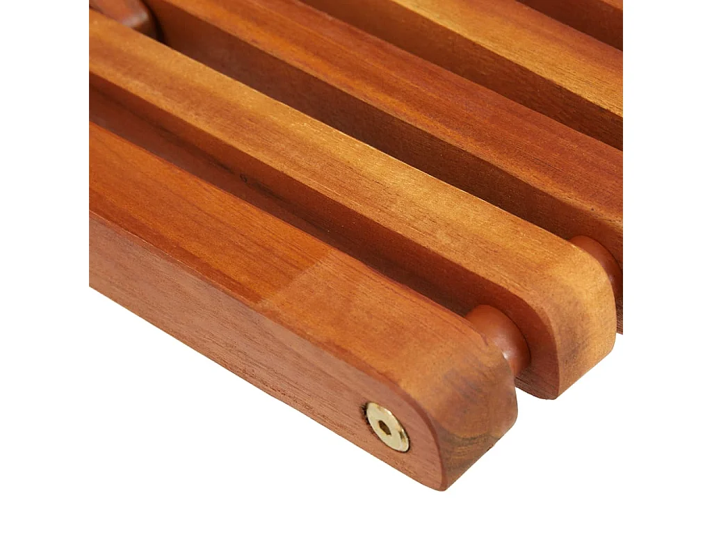 Chaises pliables d'extérieur lot de 2 Bois d'acacia solide