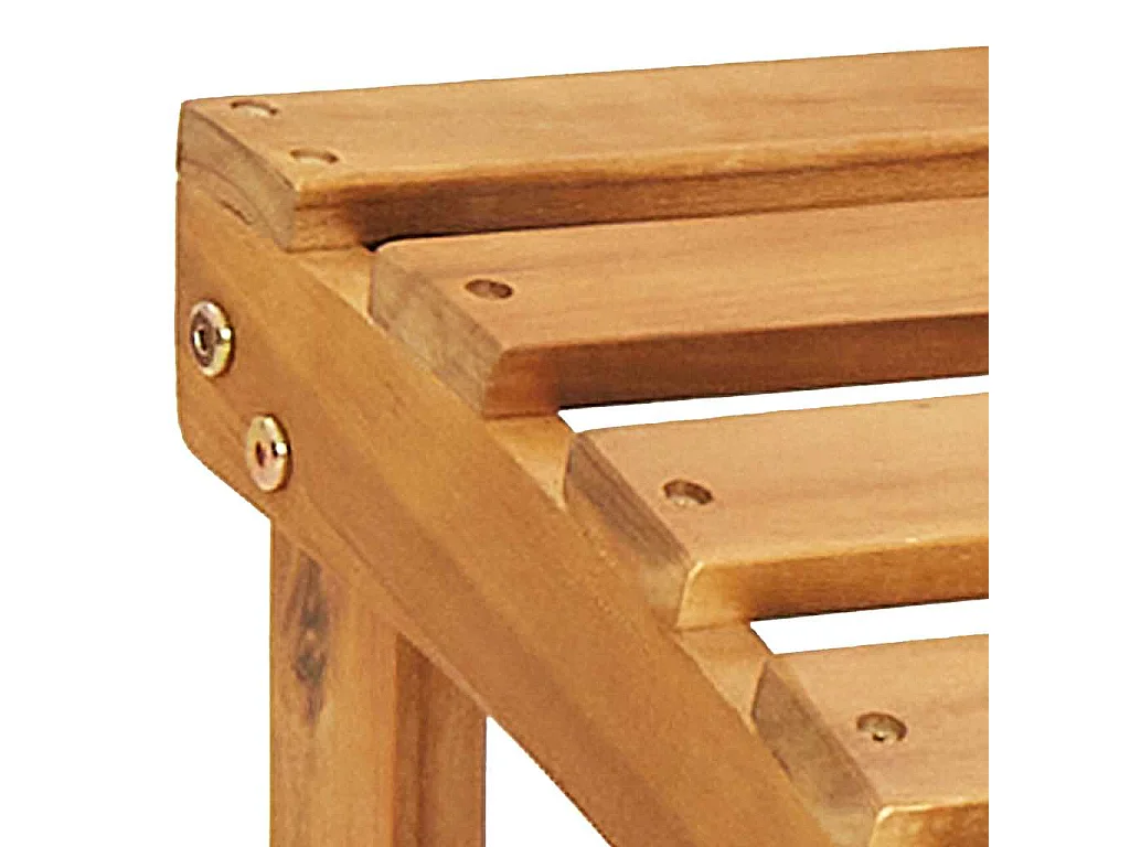 Chaise de jardin Adirondack et repose-pied Bois d'acacia massif