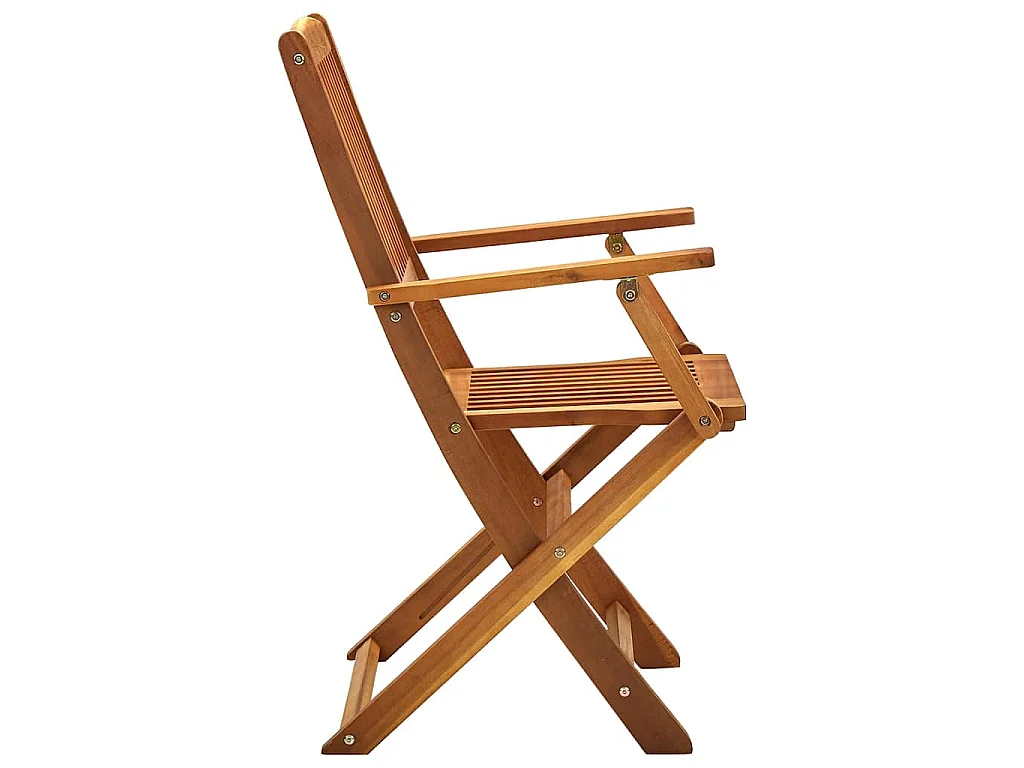 Klapstoelen 4 stuks van massief acaciahout