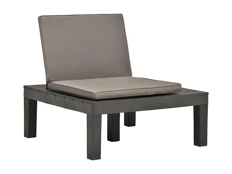Chaise de salon de jardin avec coussin Plastique Anthracite