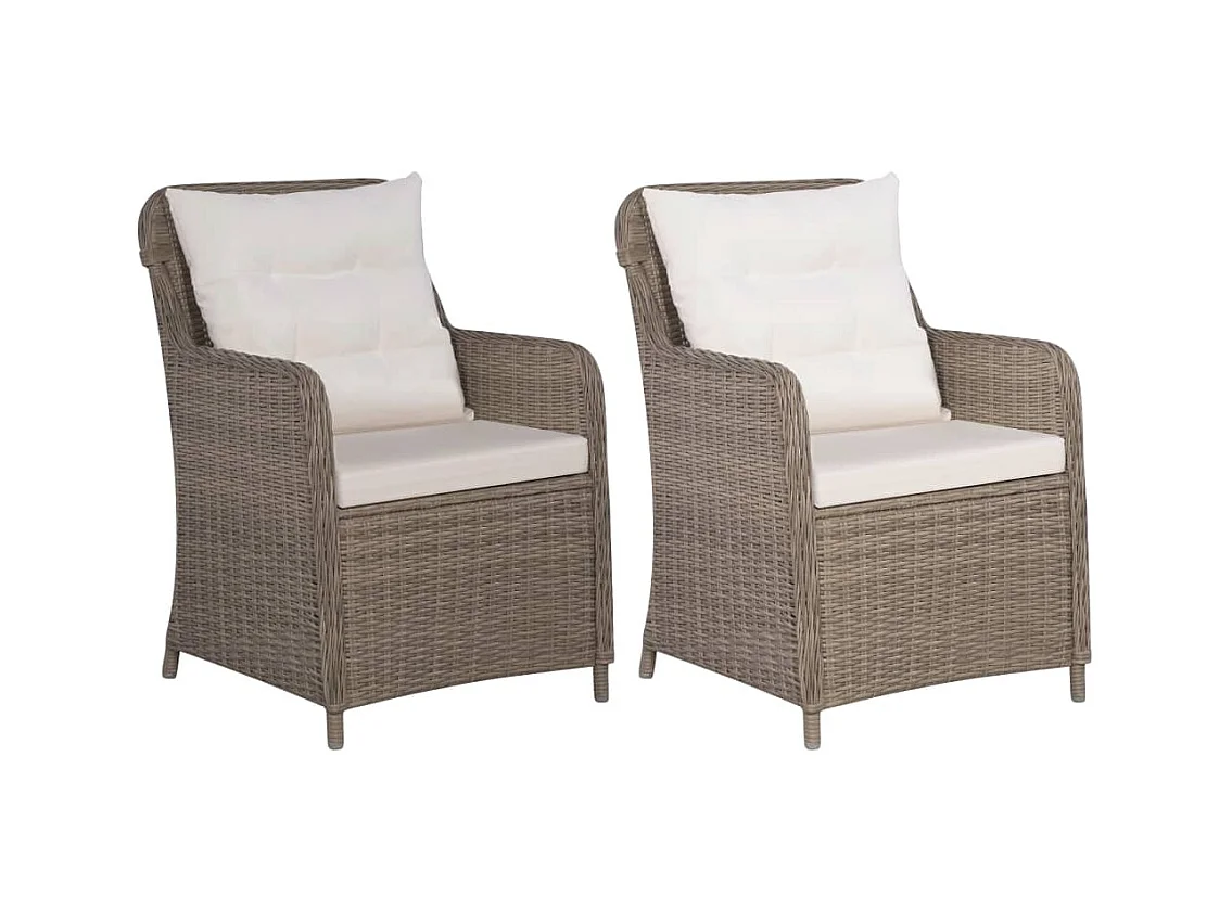 Chaises d'extérieur et coussins lot de 2 Résine tressée Marron