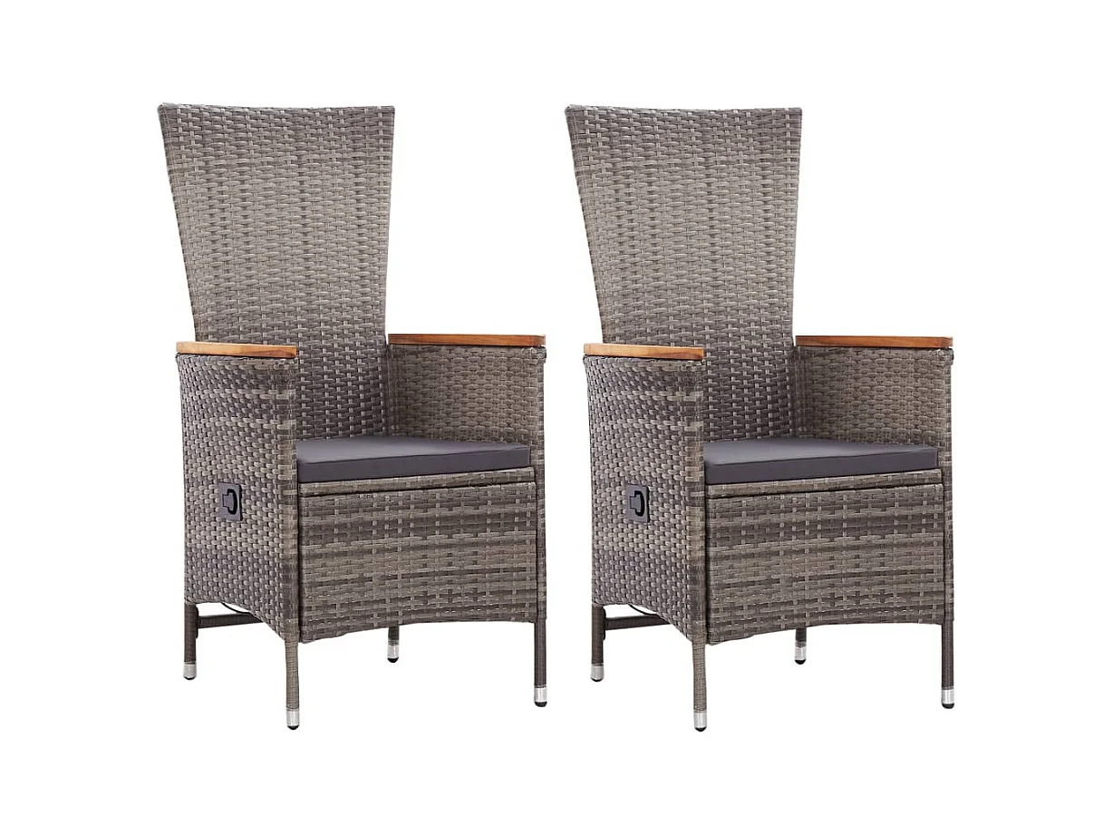 Chaises d'extérieur lot de 2 avec coussins Résine tressée Gris