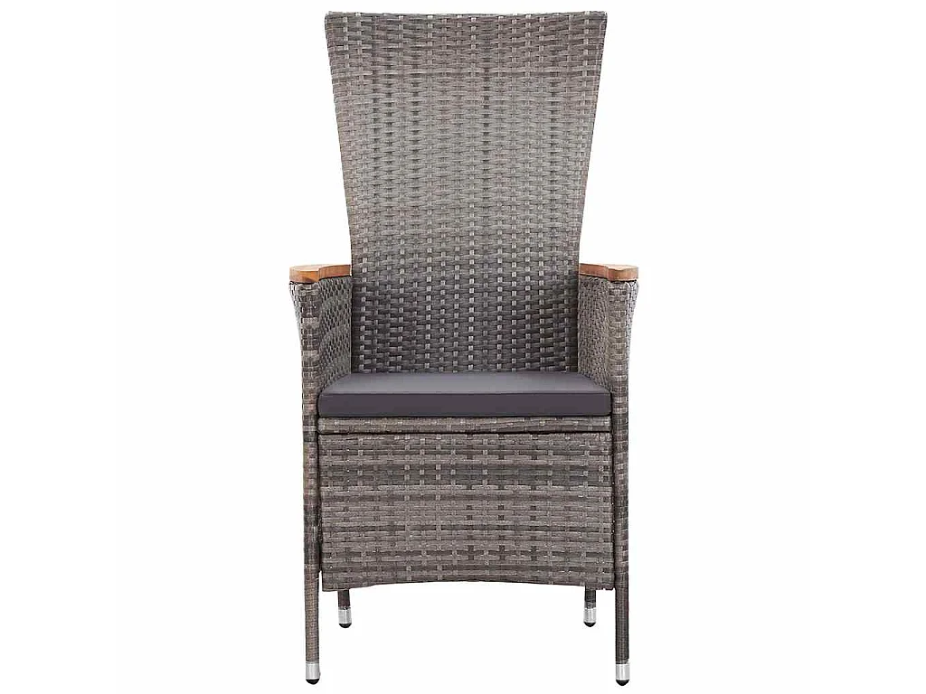 Chaises d'extérieur lot de 2 avec coussins Résine tressée Gris