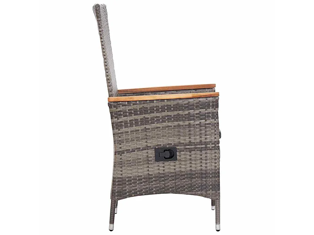 Chaises d'extérieur lot de 2 avec coussins Résine tressée Gris
