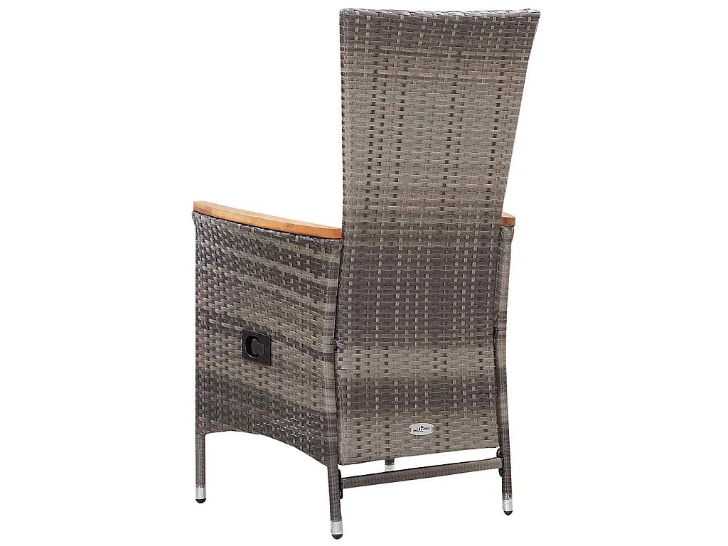 Chaises d'extérieur lot de 2 avec coussins Résine tressée Gris