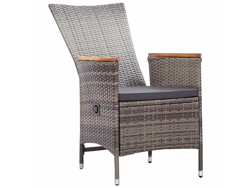 Chaises d'extérieur lot de 2 avec coussins Résine tressée Gris