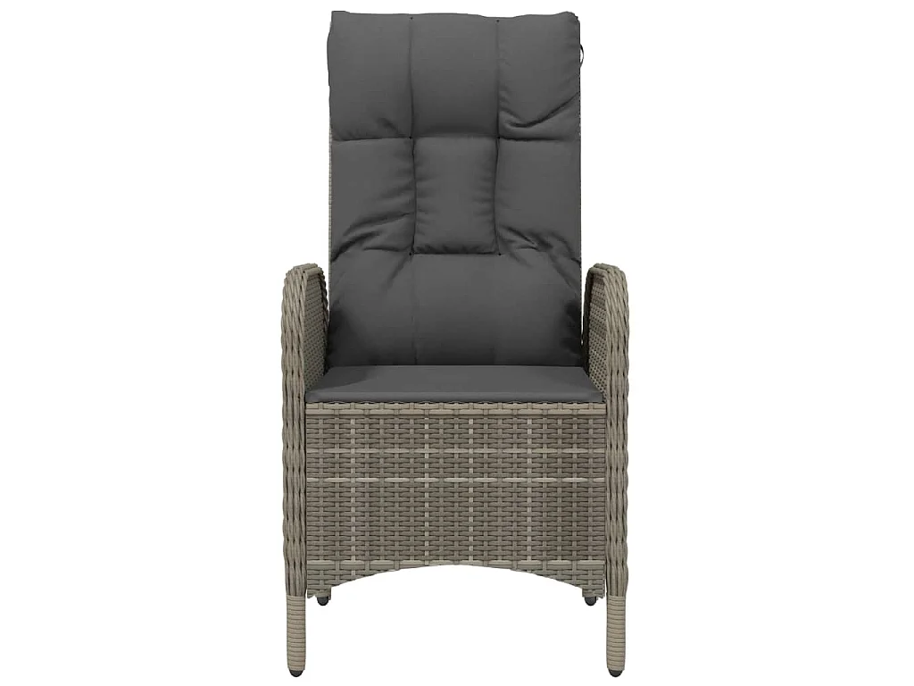 Tuinstoelen 2 st poly rattan grijs
