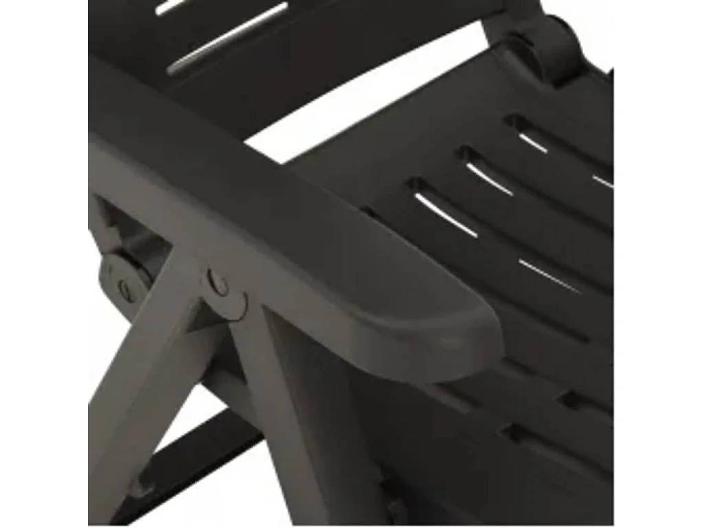 Tuinstoelen 2 st verstelbaar kunststof antracietkleurig