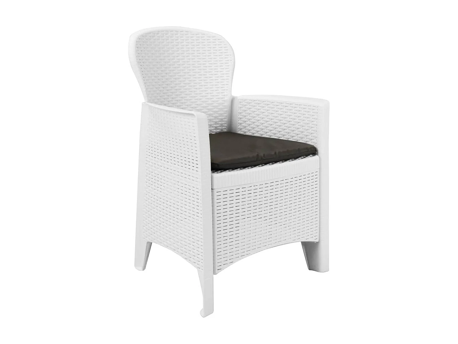 Chaise de jardin lot de 2 coussin Blanc Plastique Aspect rotin