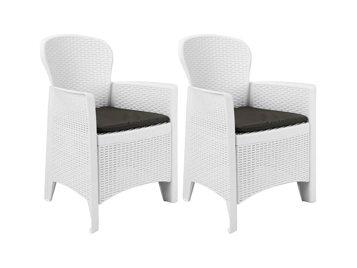Chaise de jardin lot de 2 coussin Blanc Plastique Aspect rotin