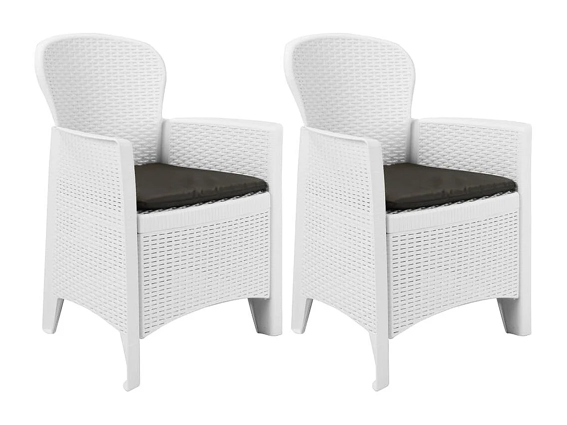 Chaise de jardin lot de 2 coussin Blanc Plastique Aspect rotin