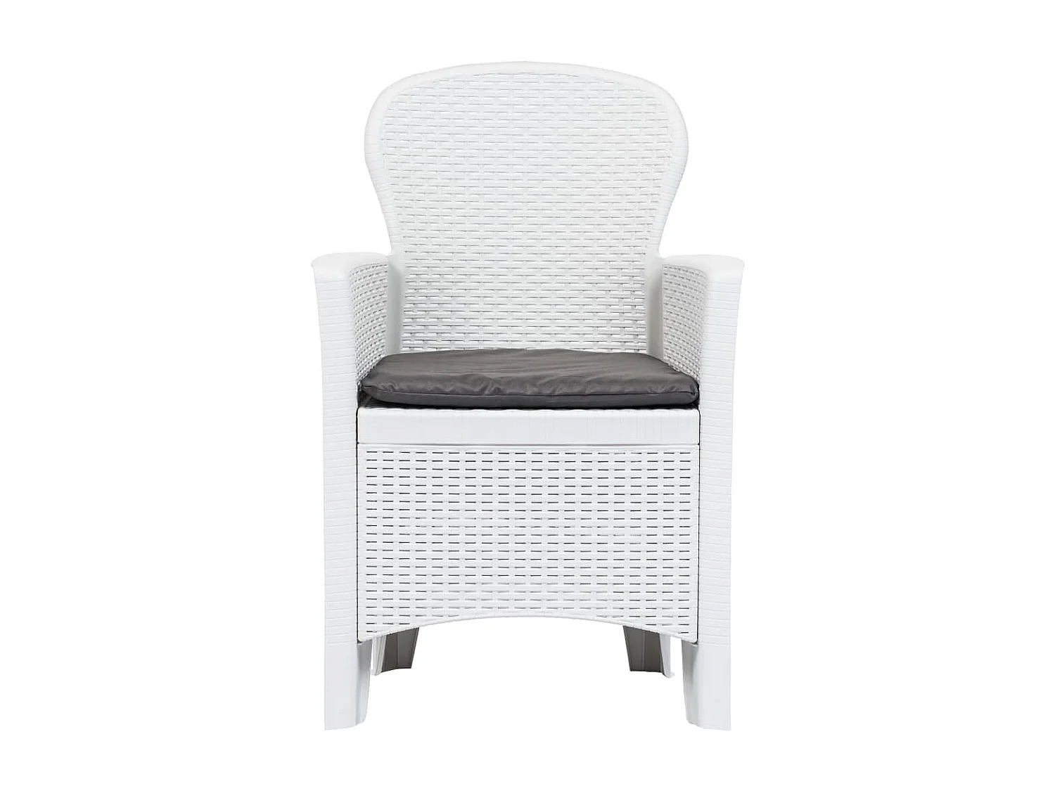 Chaise de jardin lot de 2 coussin Blanc Plastique Aspect rotin