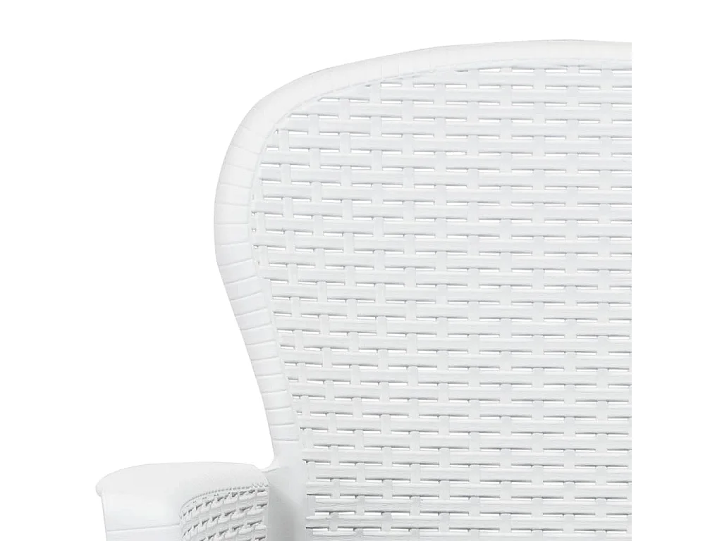 Chaise de jardin lot de 2 coussin Blanc Plastique Aspect rotin