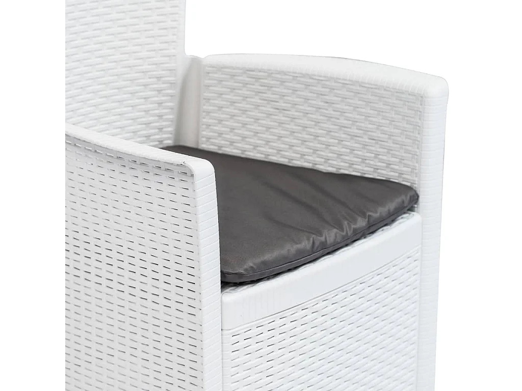 Chaise de jardin lot de 2 coussin Blanc Plastique Aspect rotin