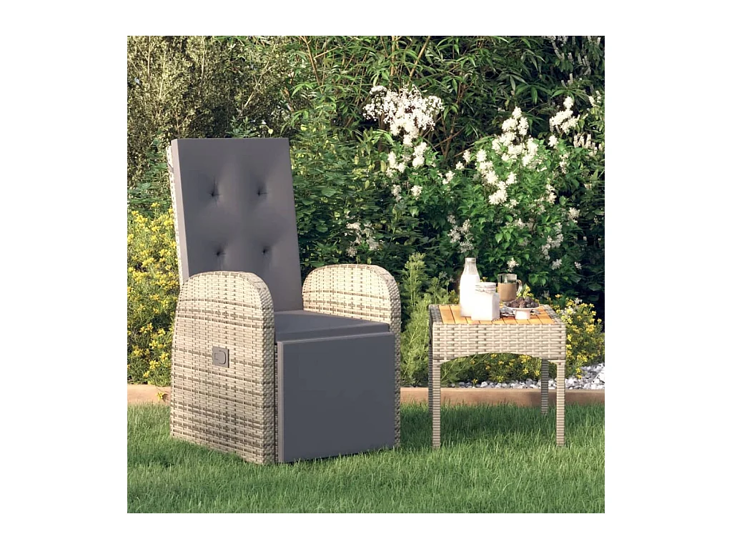 Chaise inclinable de jardin et coussin Résine tressée Gris
