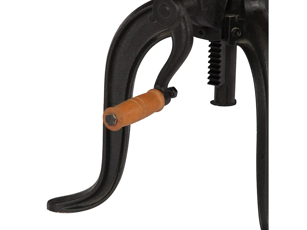 Bijzettafel 45x(45-62) cm massief mangohout en gietijzer