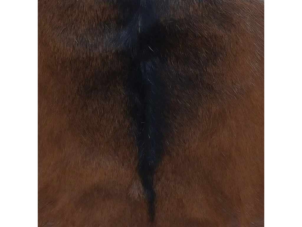 Klapphocker Ziegenleder und Massivholz Teak