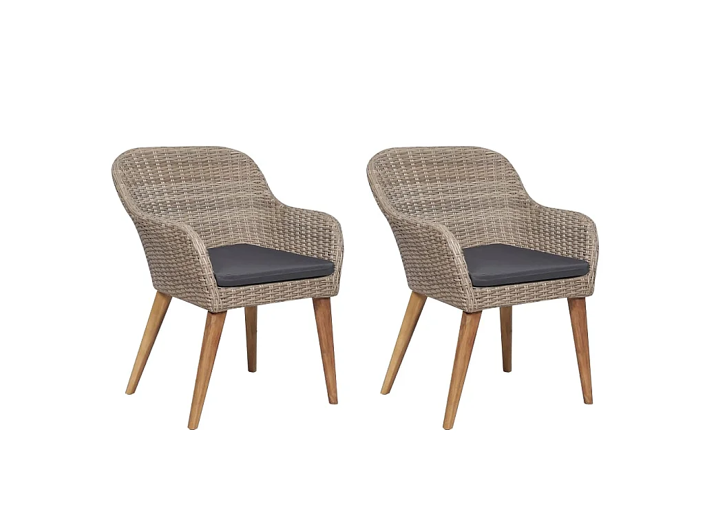 Chaises d'extérieur et coussins lot de 2 Résine tressée Marron