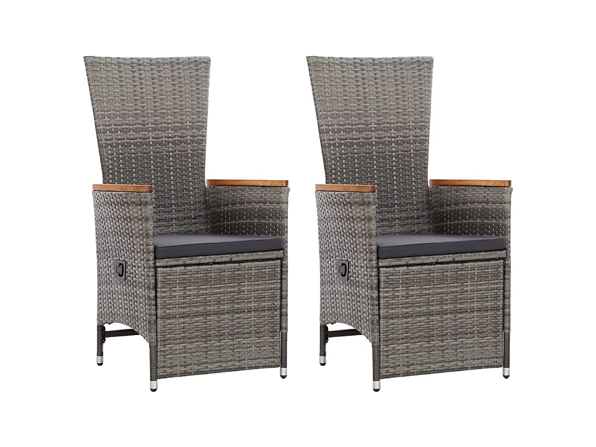 Chaise inclinable de jardin 2pc et coussins Résine tressée Gris