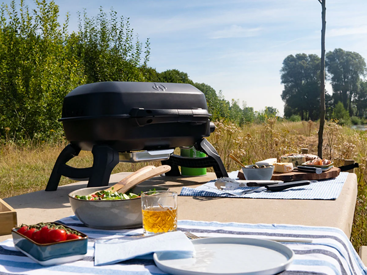 Barbecue à gaz portable Travel Q 240 - Napoleon