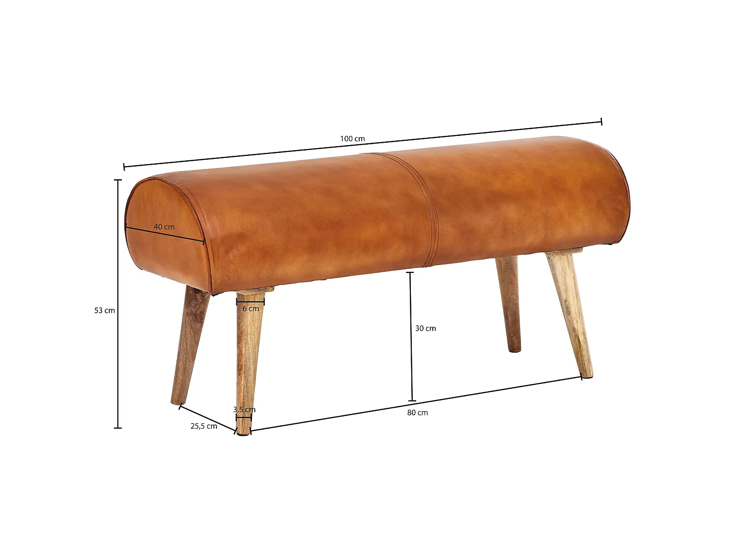 Sitzbank Echtleder 100 cm Springbock Lederbank Flurbank Massivholz Bank