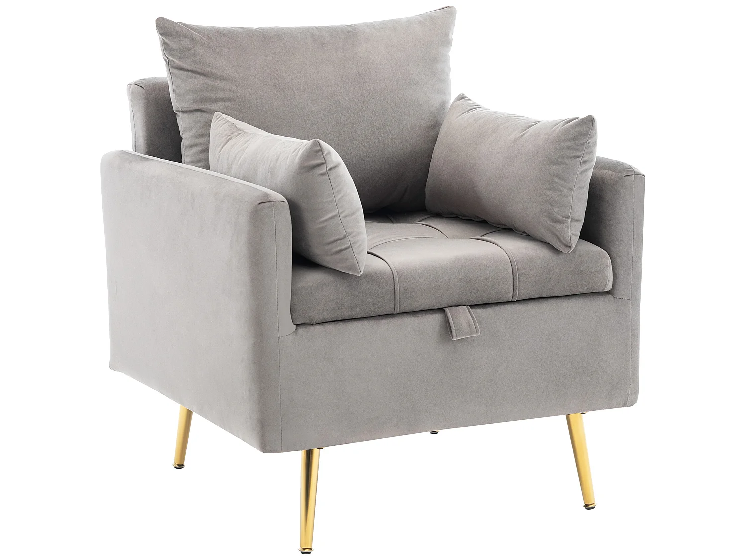 Fauteuil in fluweelstof met opbergruimte en kussen - poten van goudkleurig metaal - Grijs