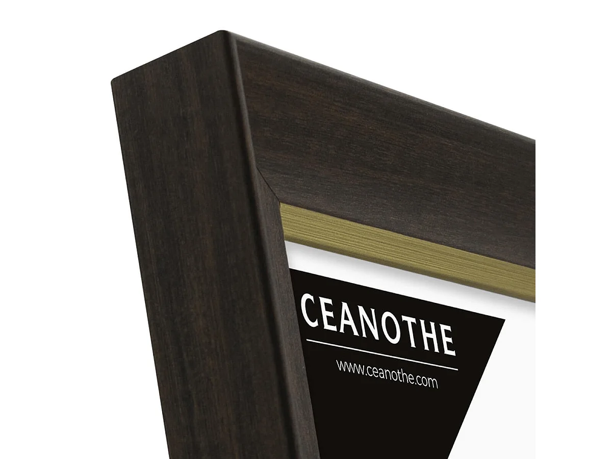 Cadre photo Luna ébène doré 18x24 cm