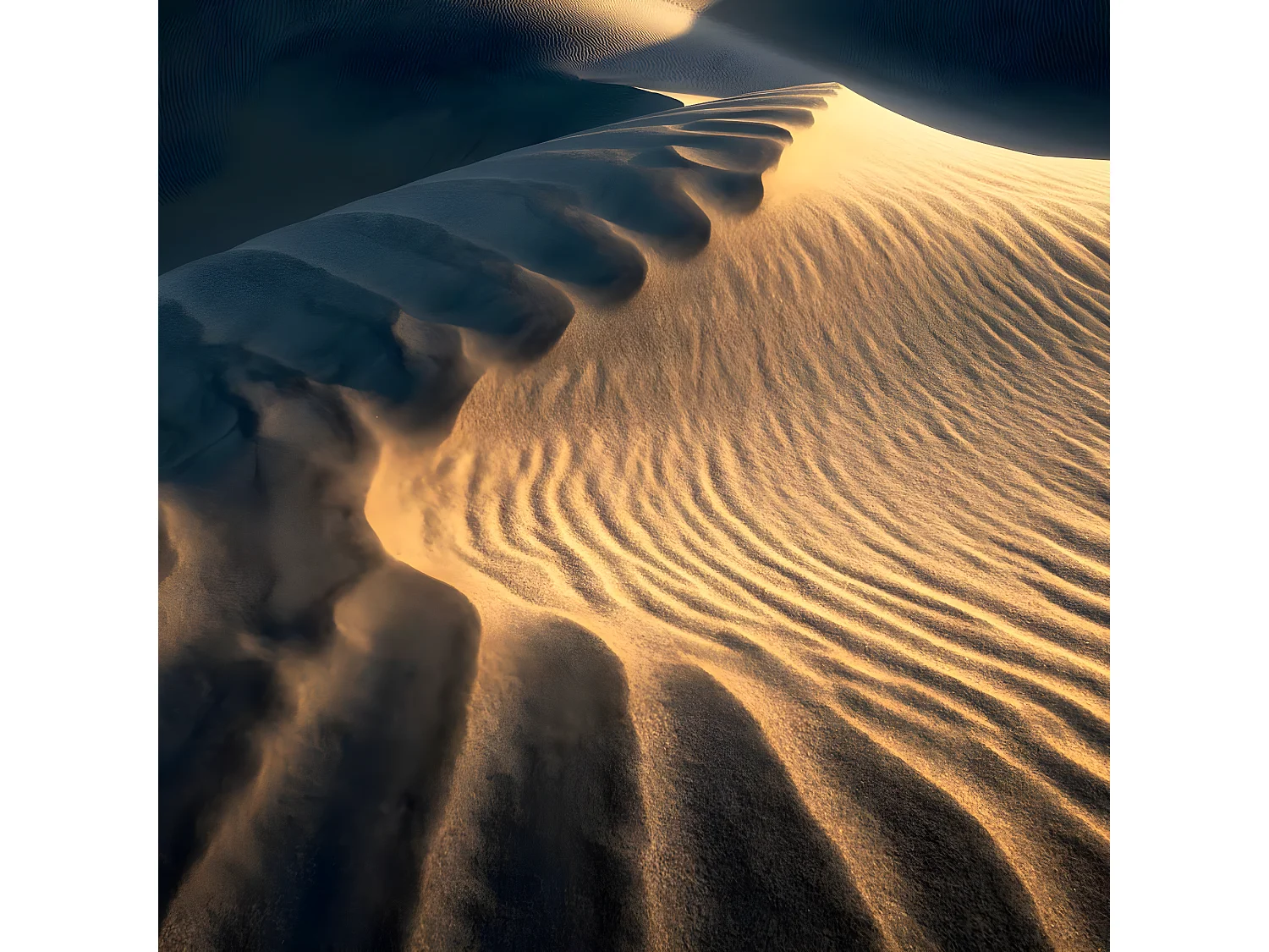 Tableau sur toile grande dune 90x90 cm