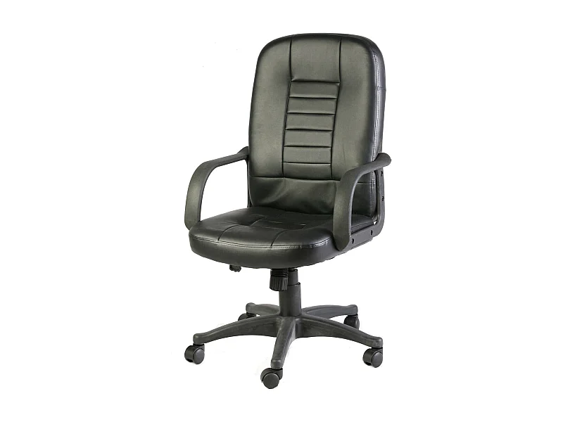 Shepparton bureaustoel, Executive fauteuil met armleuningen, Ergonomische bureaustoel, Zwart, 56x59h104/114 cm