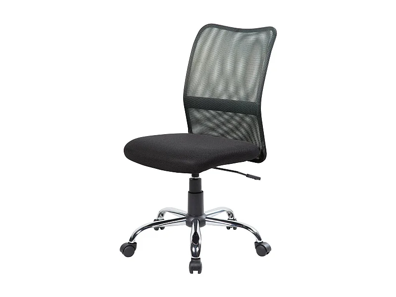 Bomaderry bureaustoel, Mesh bureaustoel, Ergonomische bureaustoel, 57x46h90/100 cm, Zwart