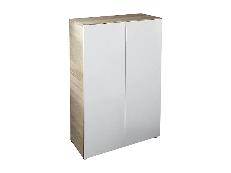 Armario multifunción Dlel, Armario auxiliar de 2 puertas, Armario zapatero bajo con 6 baldas, Zapatero bajo, 70x36h103 cm, Roble y Blanco